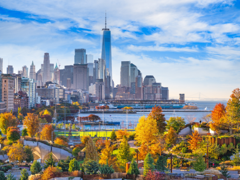 The Real New Yorker Package @Park Central - 5 nights — 5